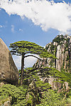 黄山