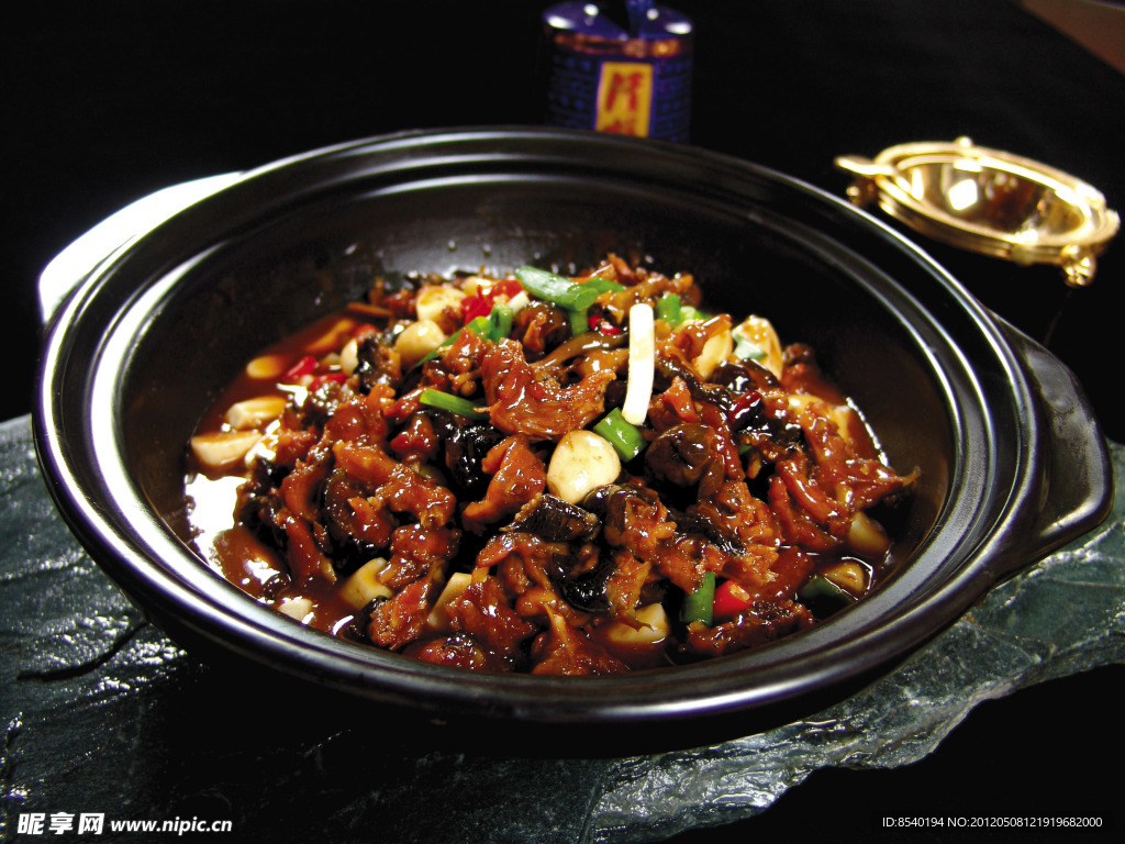 荆沙乌龟