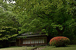 山林