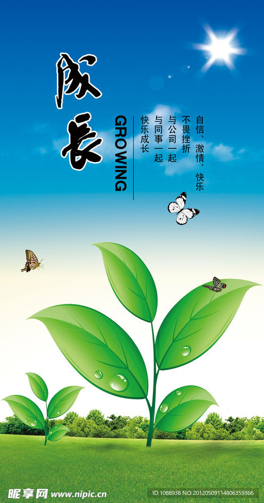 企业文化 成长