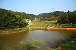 小溪风景