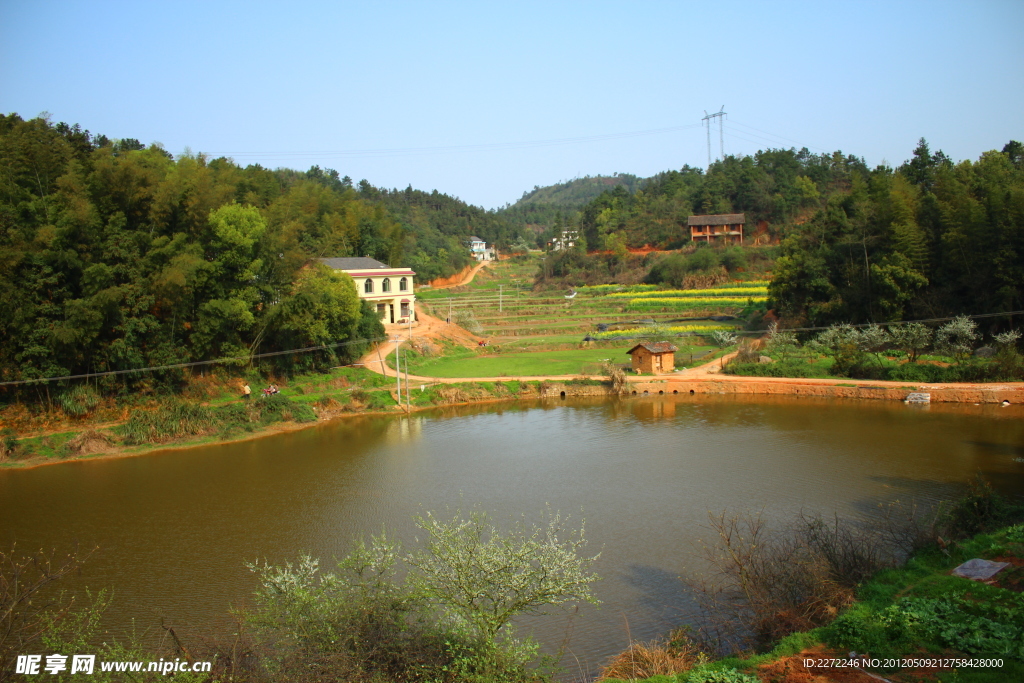 小溪风景