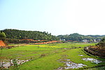 田野 山 树林