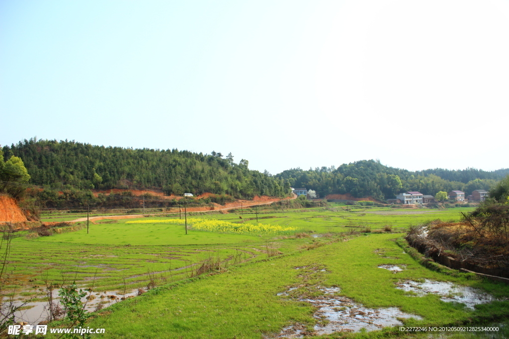 田野 山 树林