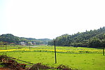 田野 山 树林