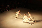 少林寺 武术
