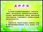 绿色背景 五行疗法