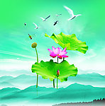 中国风荷花
