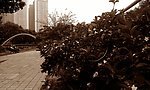金水河畔