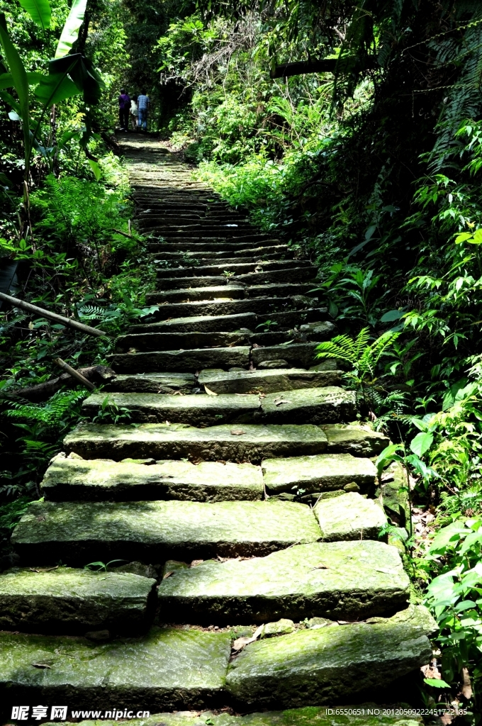 芒荡山山间小路