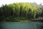 宏村风景