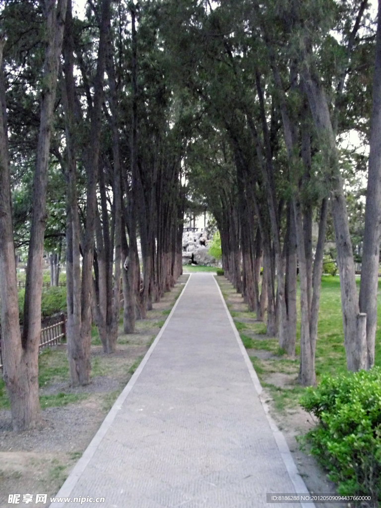 小道