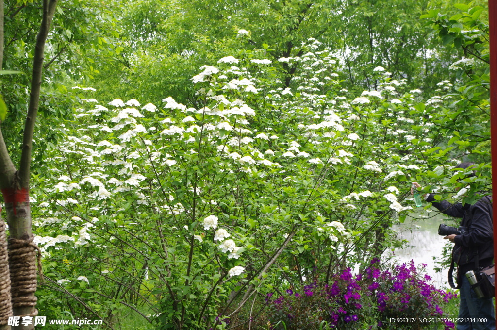 杭州西溪花朝节