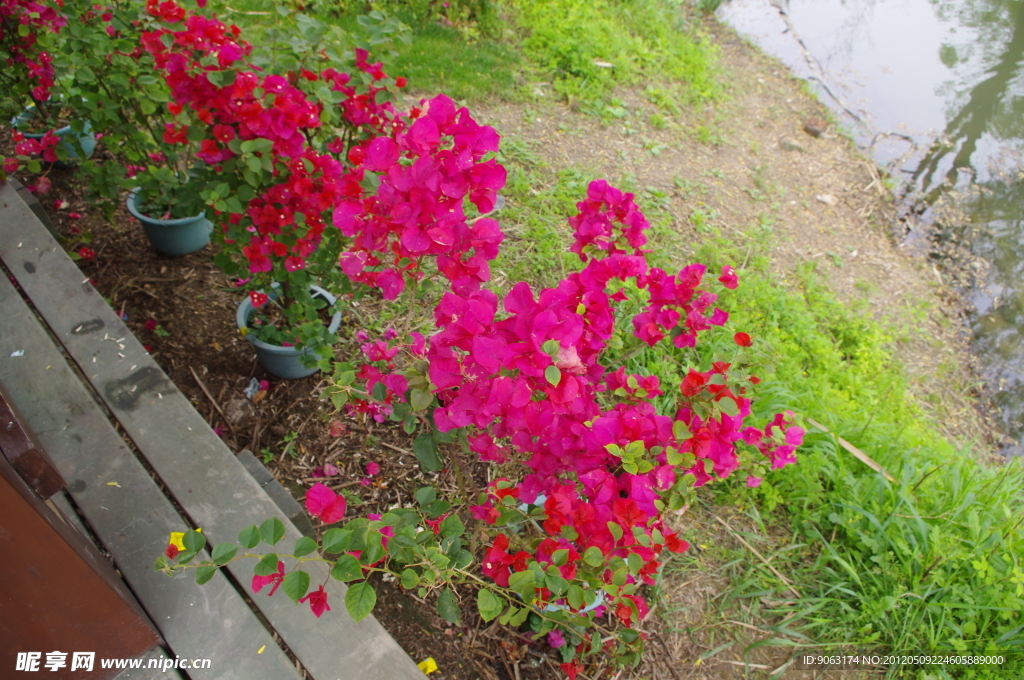 杭州西溪花朝节