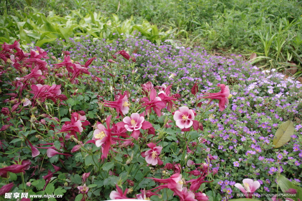 杭州西溪花朝节