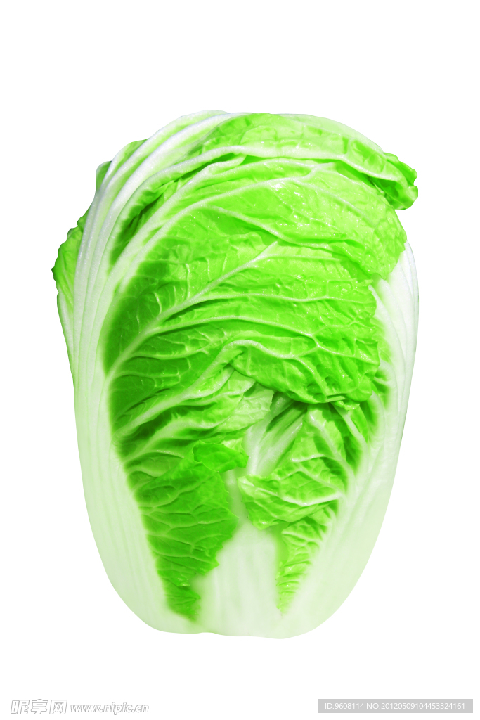 白菜