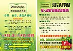 秀丝顿DM宣传页