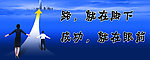 标语展板