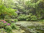 隐约可见