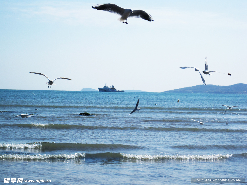 大海