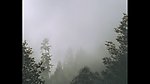 云雾云层