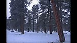 壮观的白雪