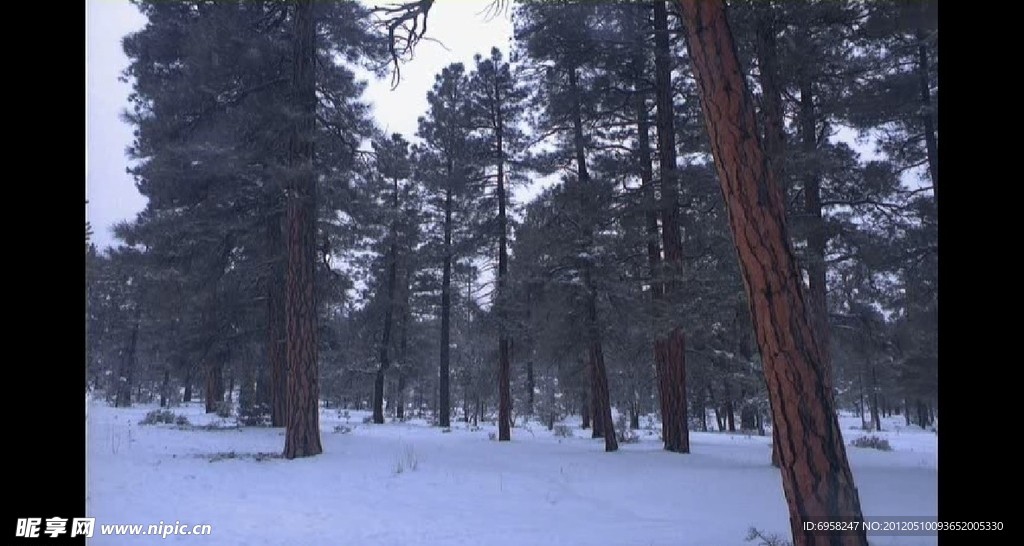 壮观的白雪