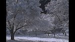 壮观的白雪