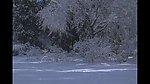 壮观的白雪