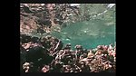海洋生物