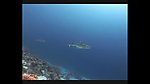 海洋生物