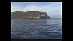 海滩风景