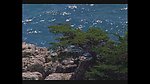 海滩风景