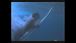 海上冲浪
