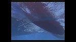 海上冲浪