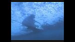 海上冲浪