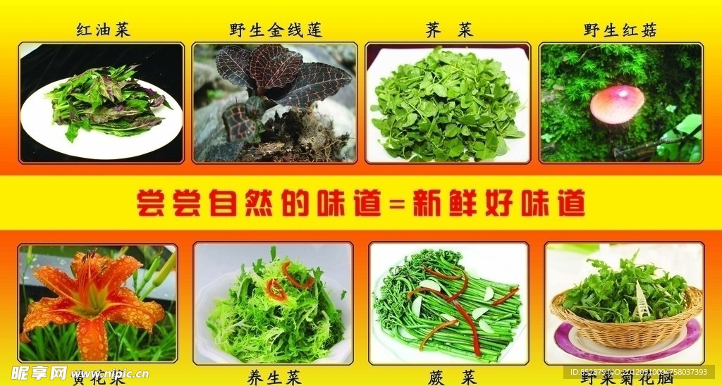 绿色食品