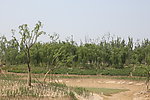 旱湖
