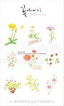 手绘花卉