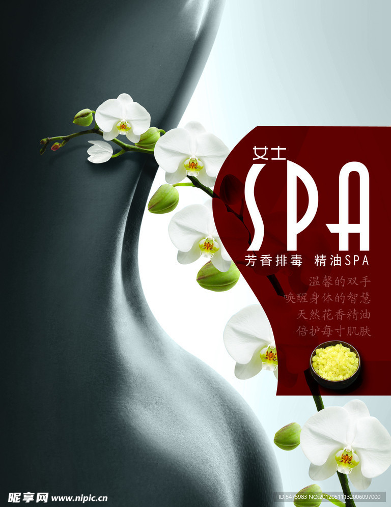 又新海女士spa