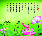 女冠子