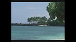 海滩风景