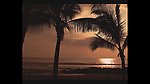 海滩风景