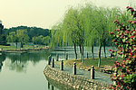 学校湖边