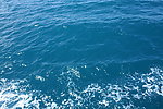 大海