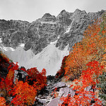 遍山红