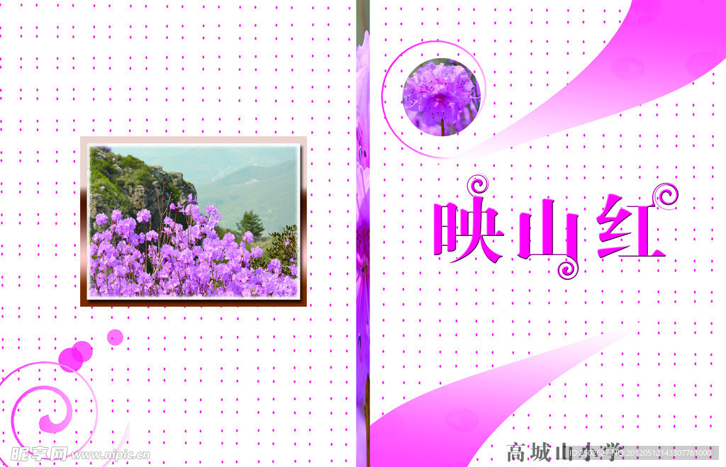 映山红画册