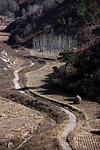 山路