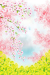 浪漫樱花