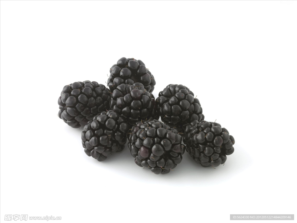 黑莓 荆棘 水果